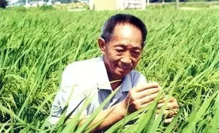 九江第一次约会,九江第一次祭孔
