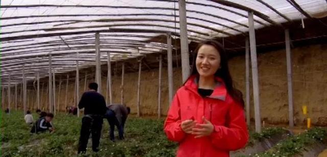 北纬37度康旅示范小镇,商河县康养