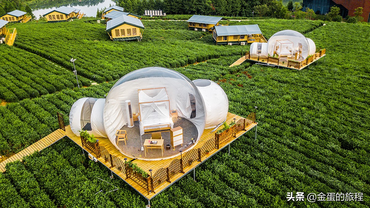 我们很弱小，根本玩不过携程等大型酒店预订平台的数据杀熟