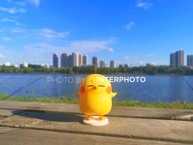 LJK特邀嘉宾｜韩鹏：有梦想的小鸡