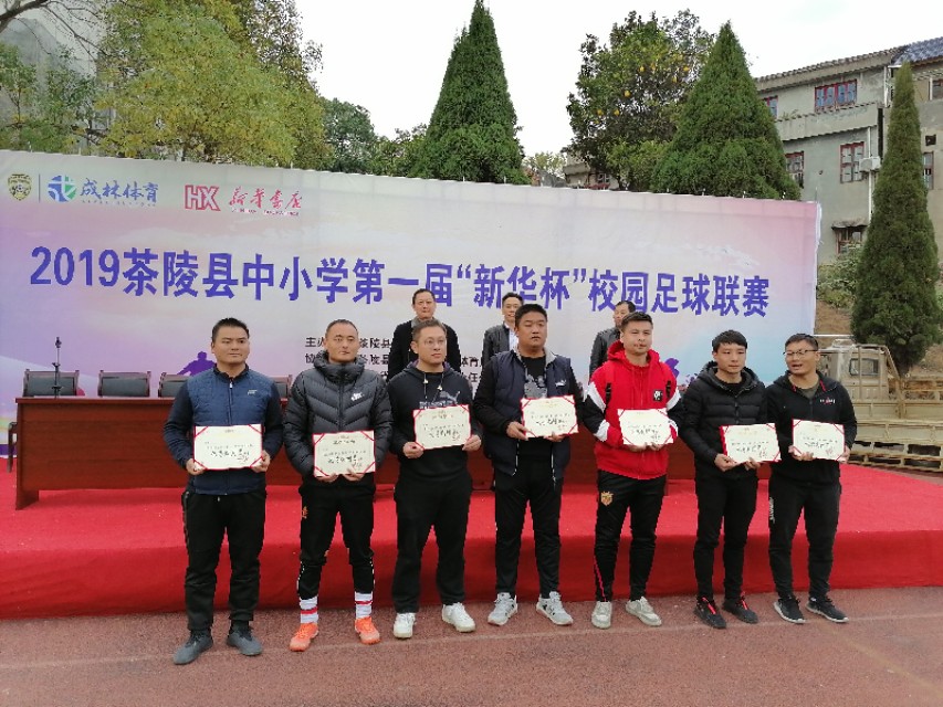 茶陵县足球联赛,茶陵城西小学足球赛