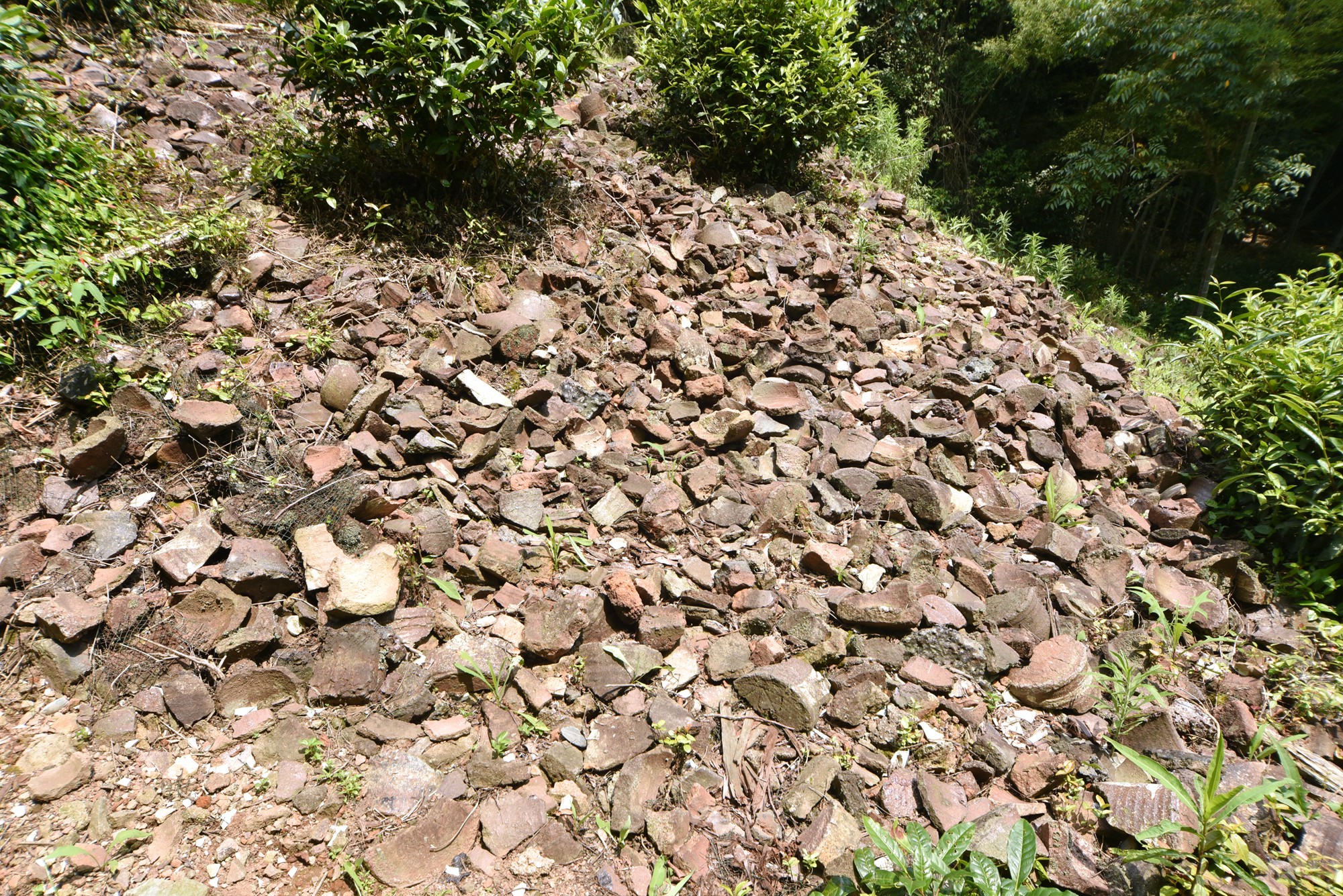 景德镇近代瓷器发展,千年瓷都景德镇有哪些瓷器