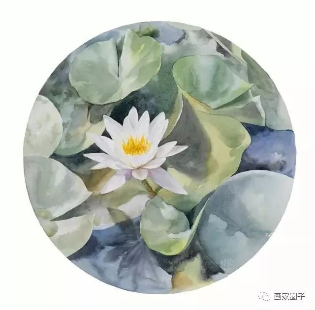 100种漂亮花卉图片,100张漂亮花图