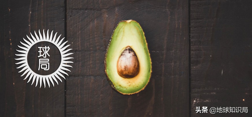 黑帮来了！救救农民！地球知识局