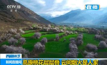 忆清明祖辈给我们留下了什么？