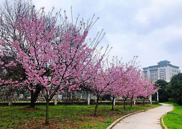笔尖下的时光观后感,笔尖下的回忆纪念册