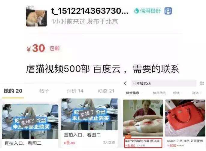 我在闲鱼被骗,我在闲鱼上面被骗了怎么办