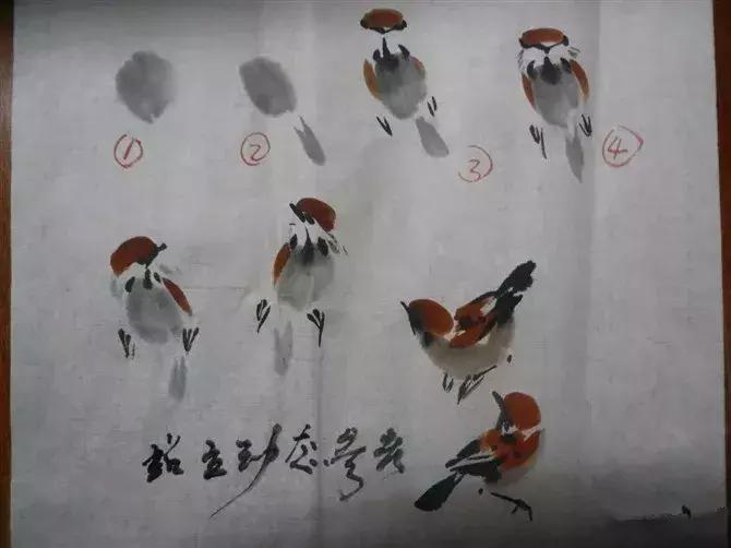 写意花鸟配景石的画法,干货写意花鸟类的画法