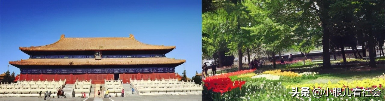 家住北京这片的孩子，集合了