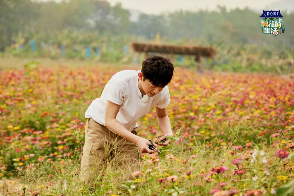 电视剧向往的生活在哪拍的取景地,电视剧向往的生活取景地