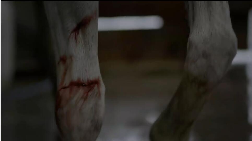 一人一马攀登高峰望故乡完整版,一人一马励志电影