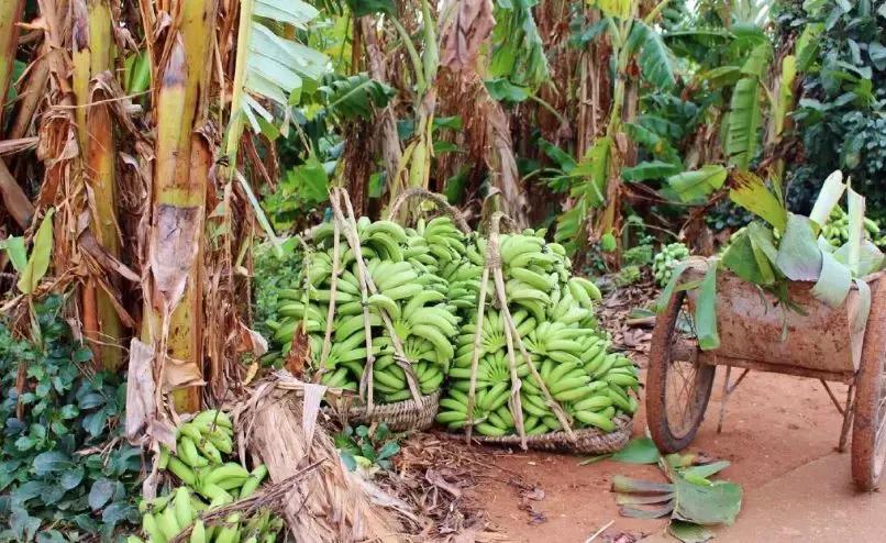 6月涠洲岛自由行,4月中去涠洲岛合适吗