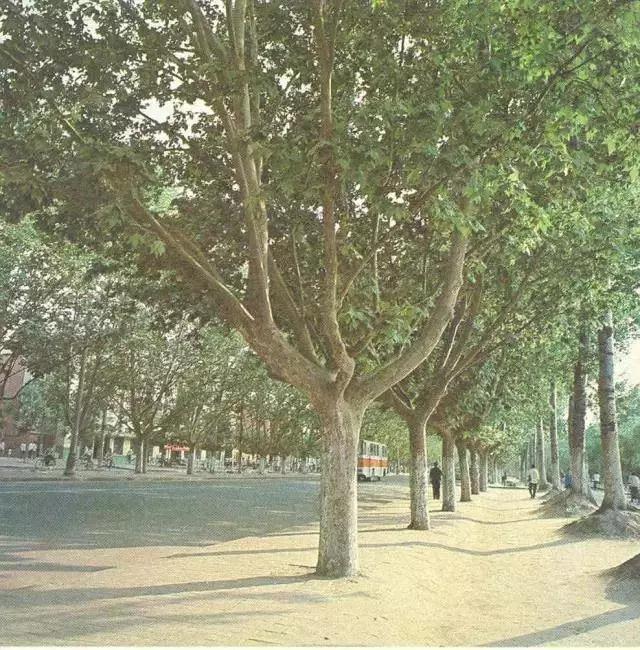 地铁三号线延长至北辰站,地铁三号线通车了吗