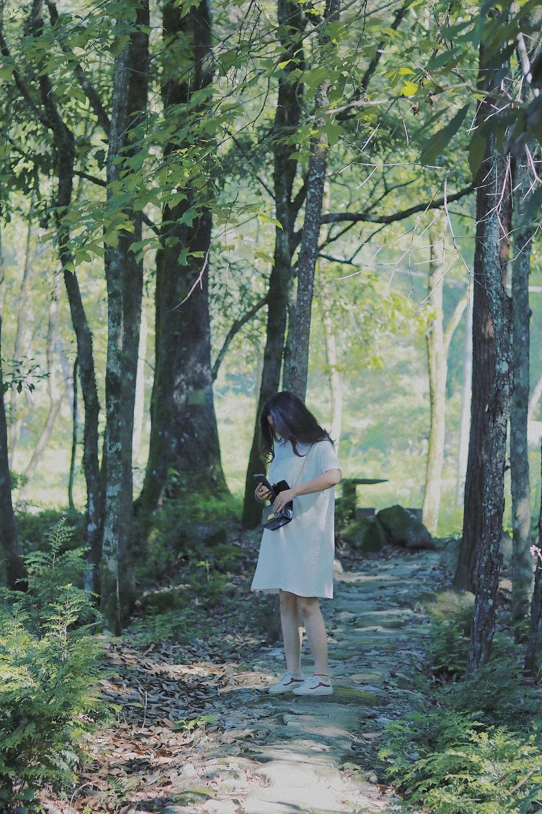 夏天泰顺避暑,泰顺度假胜地