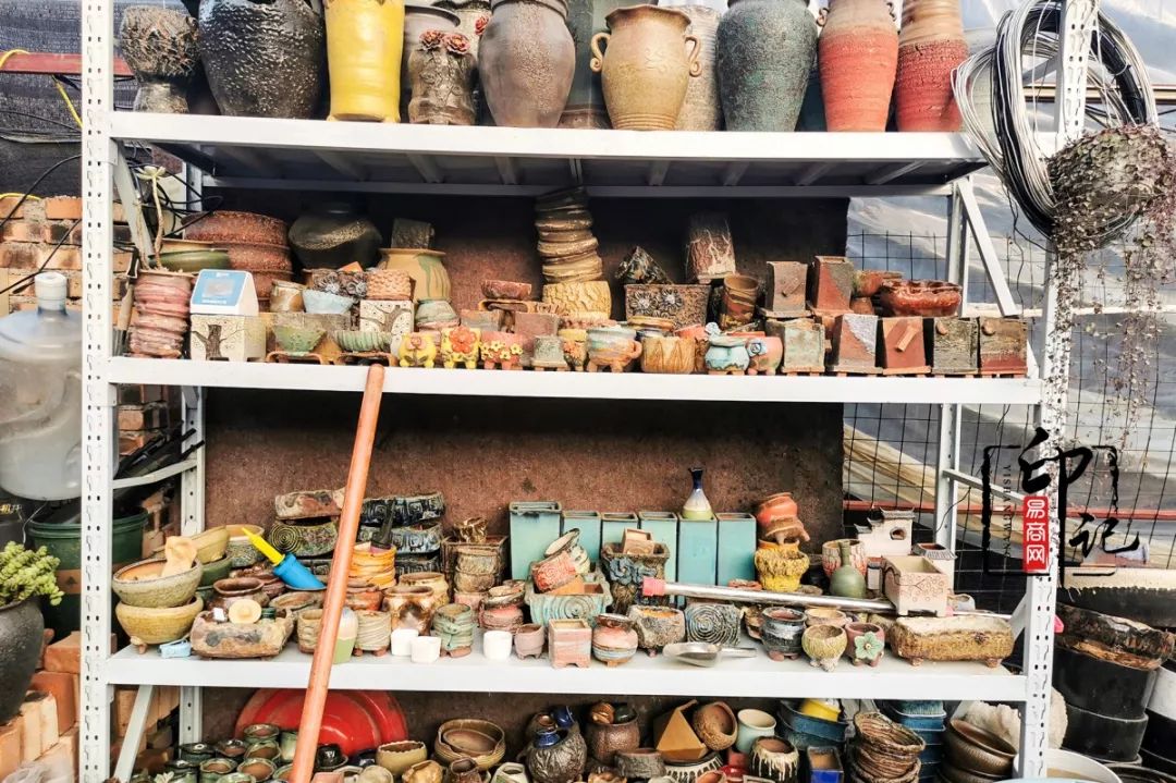 商丘道北花鸟批发市场,商丘花鸟宠物市场