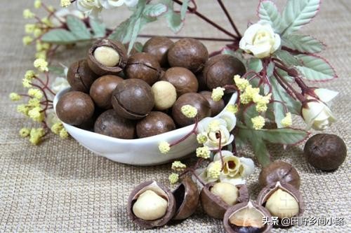 夏威夷果味道是怎么出来的,夏威夷果怎么才能打开只有一条缝