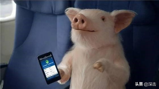 马云刘强东互联网养猪,为什么马云刘强东要去养猪