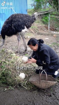 这群平均年龄超过70岁的“年轻人”，认真生活的样子真美