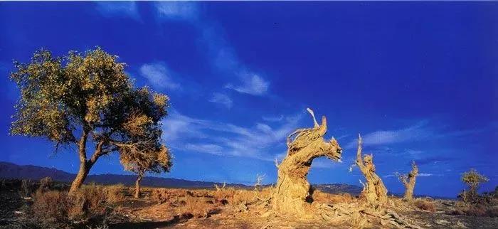 中国快递之快让全世界都惊呆了,中国桥梁为何惊呆了全世界