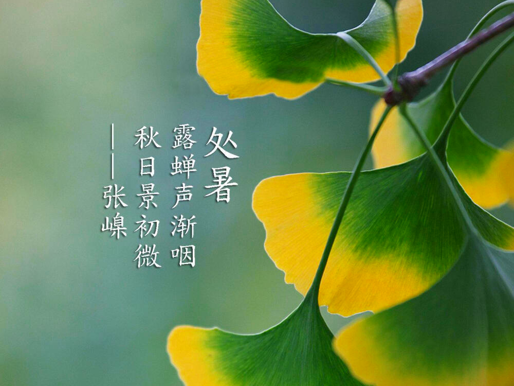 处暑吃鸭子很有讲究,处暑节气时为什么要吃鸭子