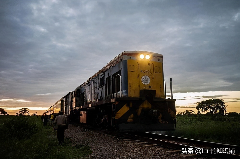 十二个冷知识,12个不为人知的冷知识