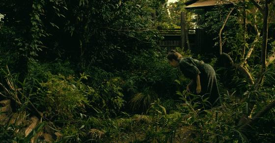 没想到日本国宝级画家，竟过着这样的生活！