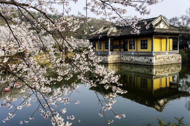 江苏有哪些5a旅游景点免费开放,江苏25个5a景区旅游攻略