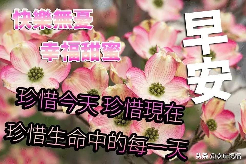 每天早晨对着镜子给自己一个微笑,每天早晨面向太阳给自己一个微笑