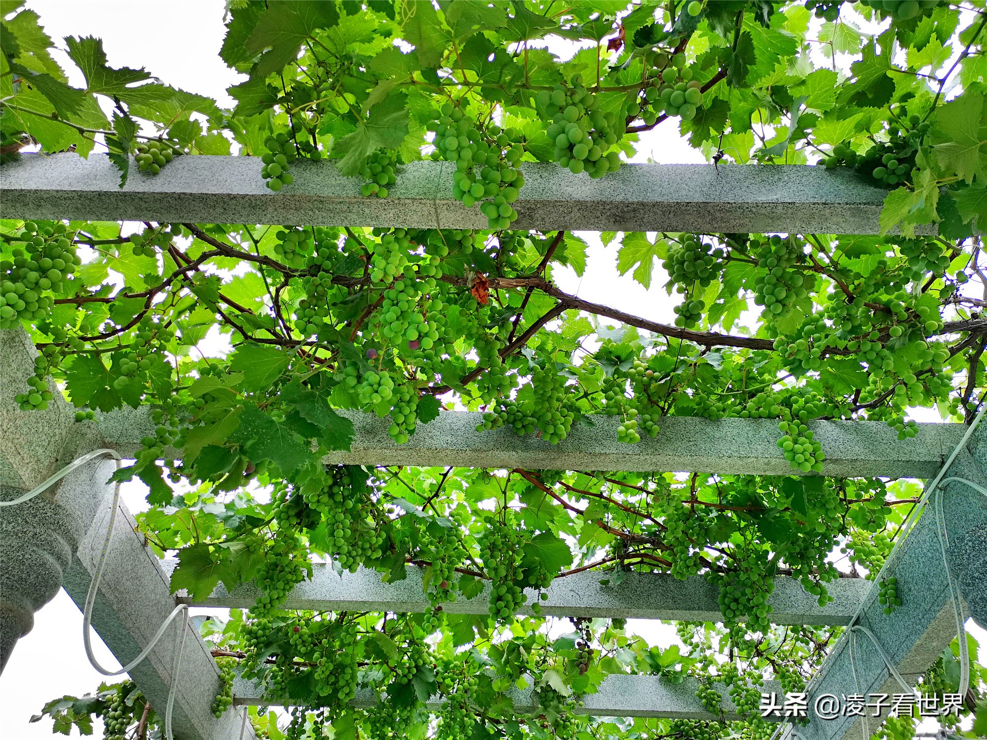 鐭冲搴勬収鐏簞鍥ソ鐜╁悧鍊煎緱鍘诲悧,鐭冲搴勬収鐏簞鍥檮杩戦噰鎽樺洯