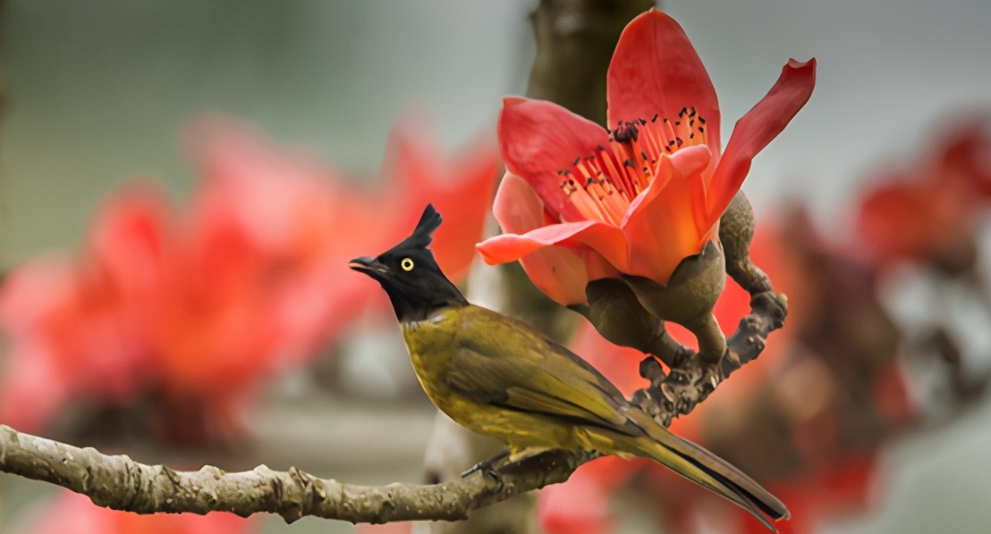 在古代富可敌国,富可敌国的真实历史