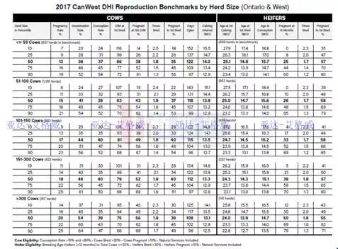 多多牧场高产奶牛的寿命,奶牛生产前有哪些症状