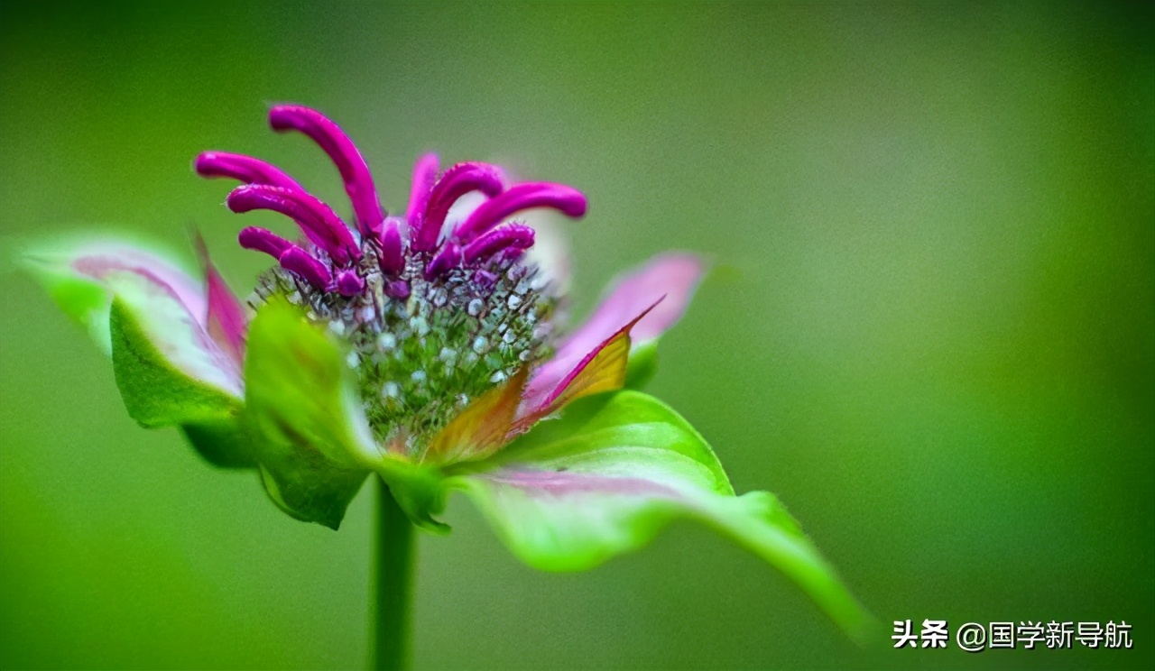 道德经第39章的心理感悟,《道德经》如何解除事业困惑