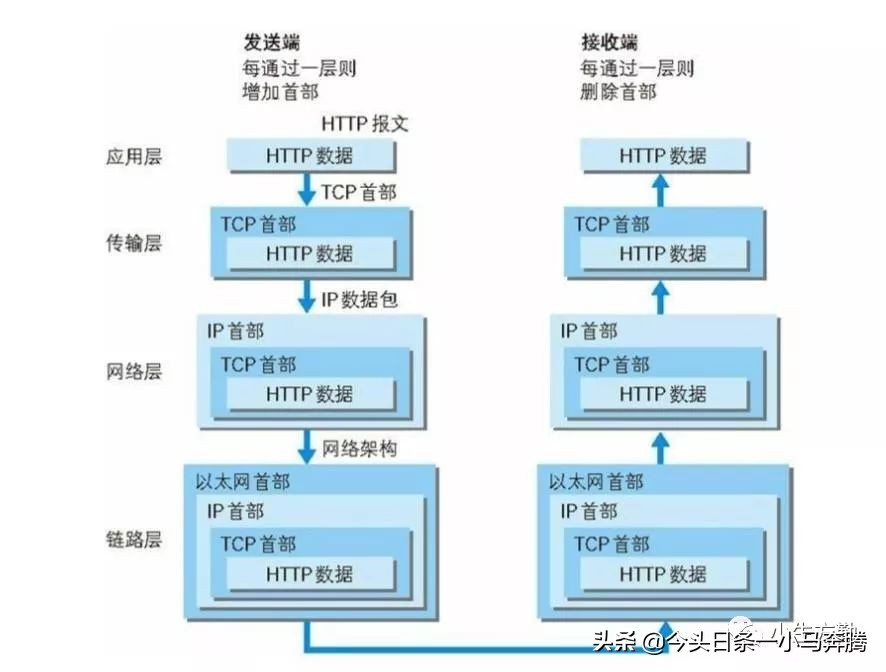 0基础学网络,计算机网络基础