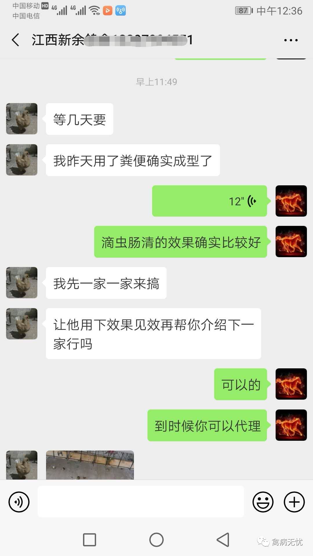 肉鸽养殖技术高效,肉鸽养殖技术全程指导