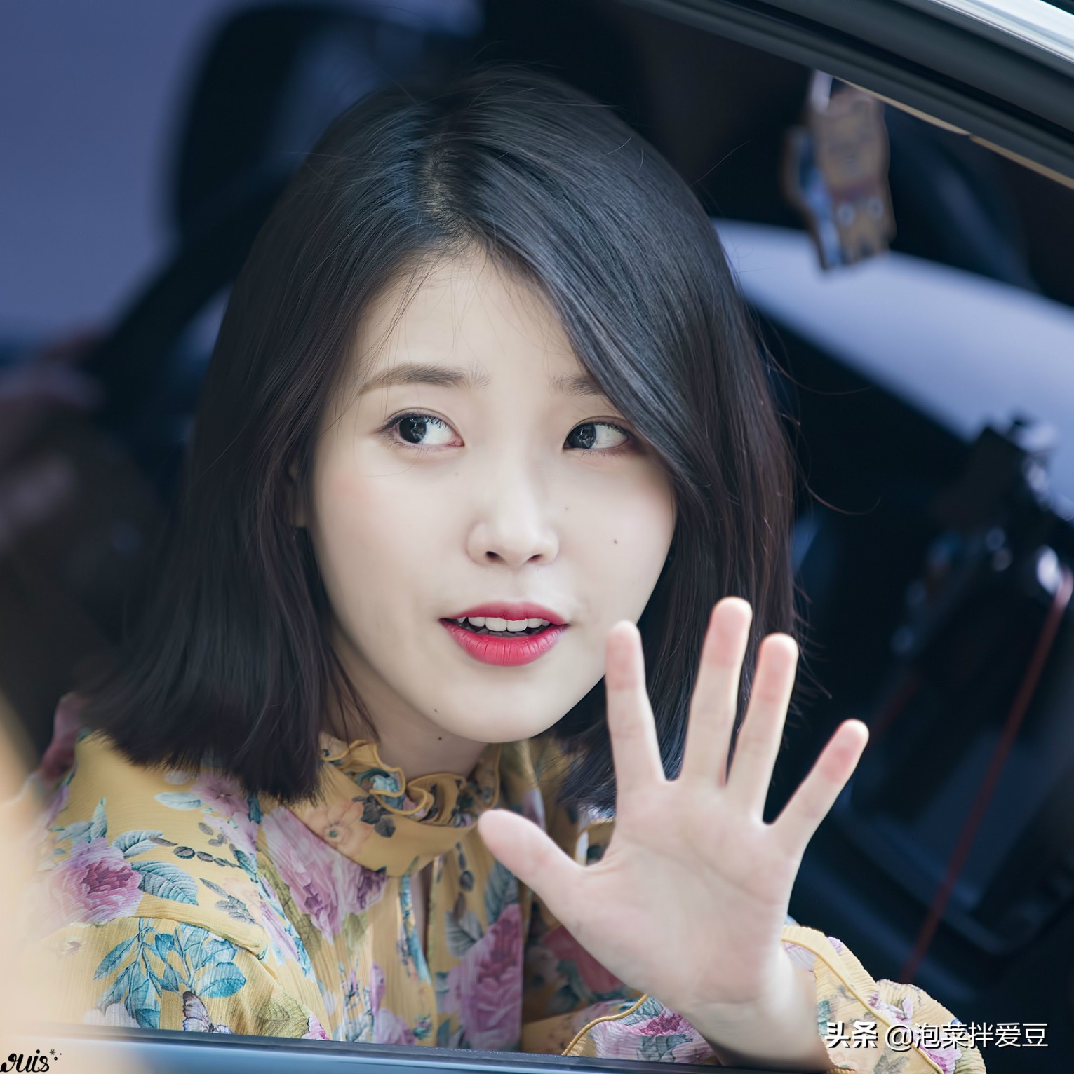 韩国女粉丝表白职业选手,女艺人表白女明星