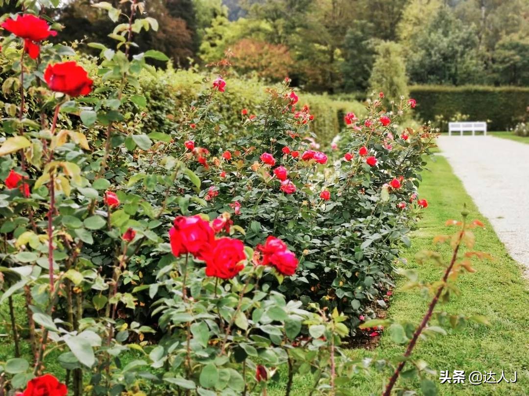 跟着小天玩游戏,跟着小天去旅行