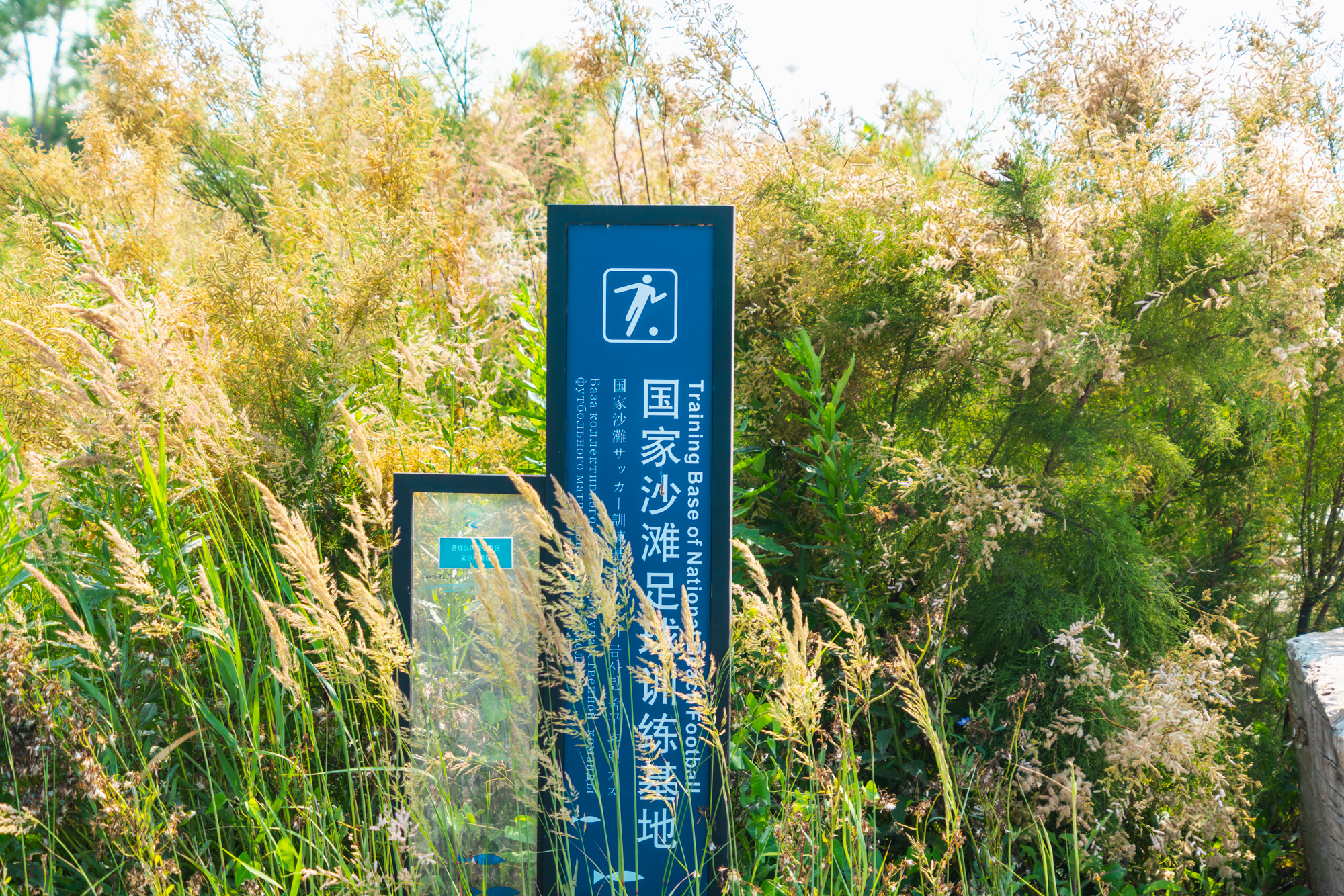 唐山适合1-4岁亲子游的地方,暑假遛娃旅游推荐唐山