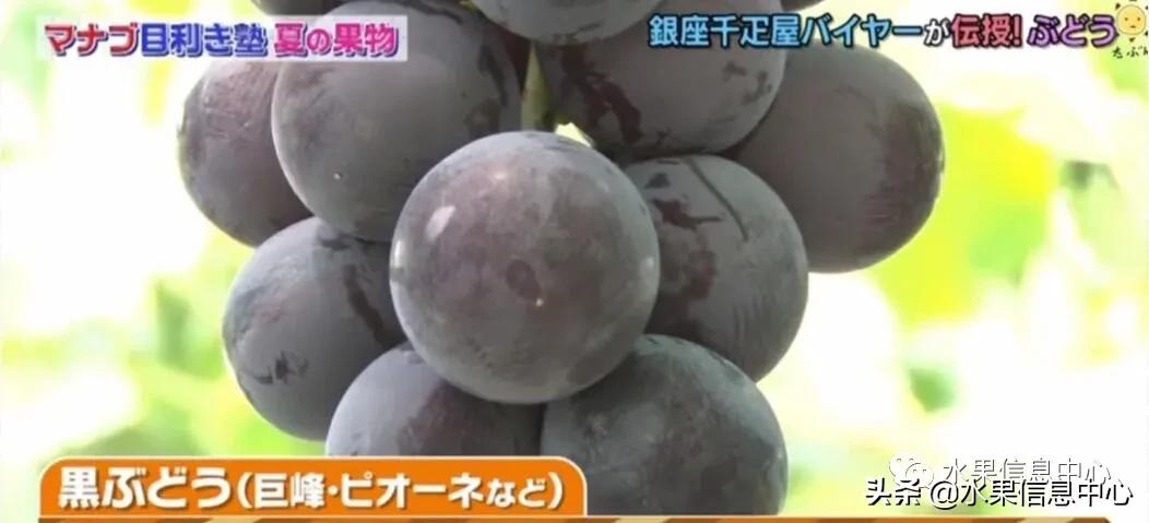 日本水果店怎么挑选,正宗日本水果店