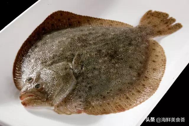 常见的鱼虾蟹等海鲜的认识,虾蟹类海鲜大全