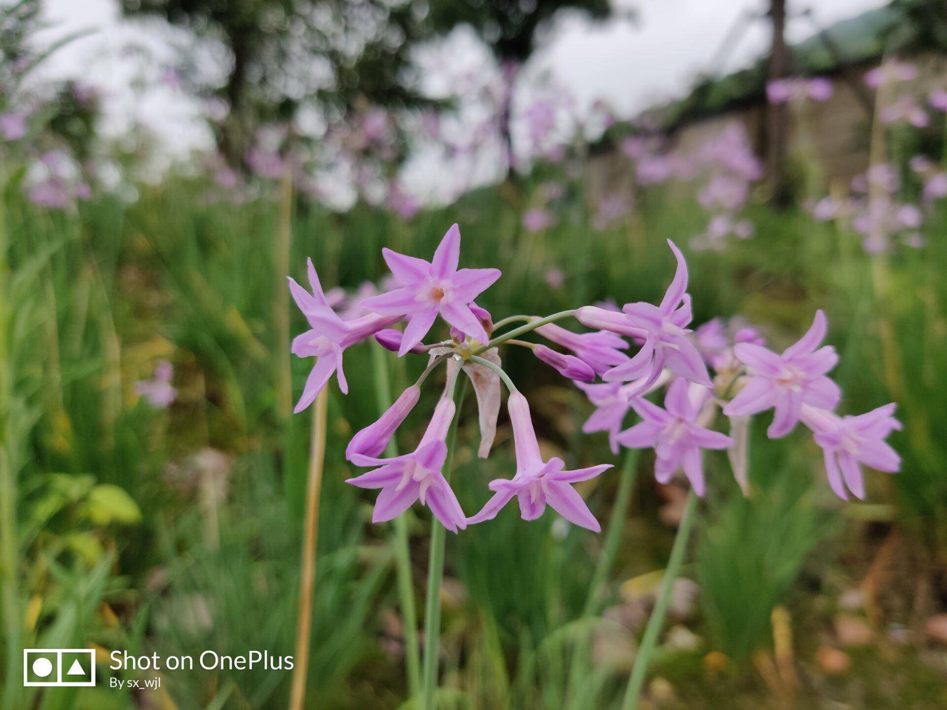 一加7pro充电多少w,一加7prowifi6