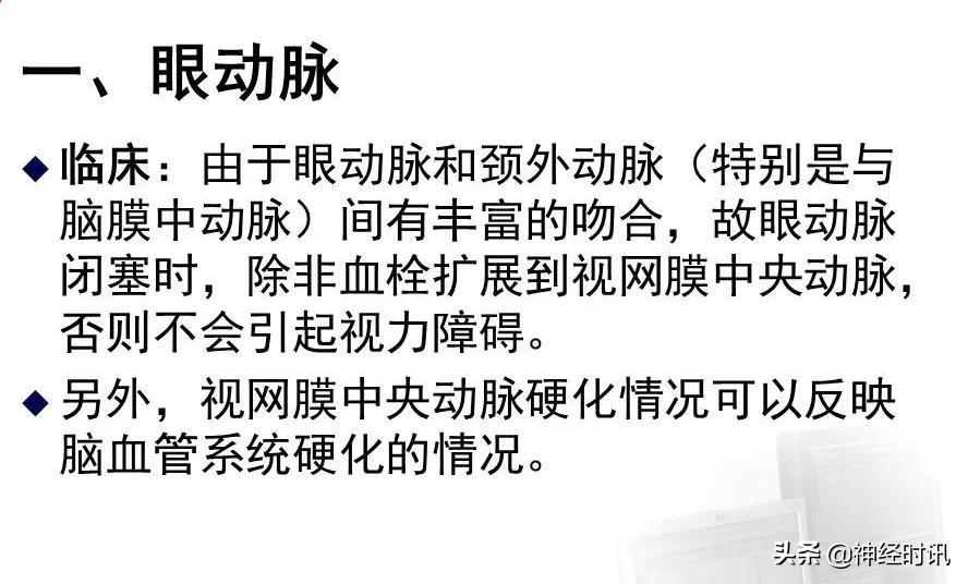 脑动脉解剖学讲解,基底节区脑血管解剖