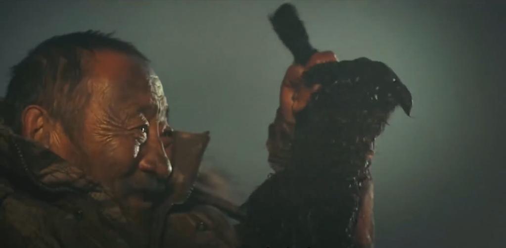 放羊老头跑了三天三夜,放羊老人和狼王