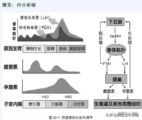 喝凉水吃雪糕对身体的害处,吃冰淇淋喝冷饮月经提前