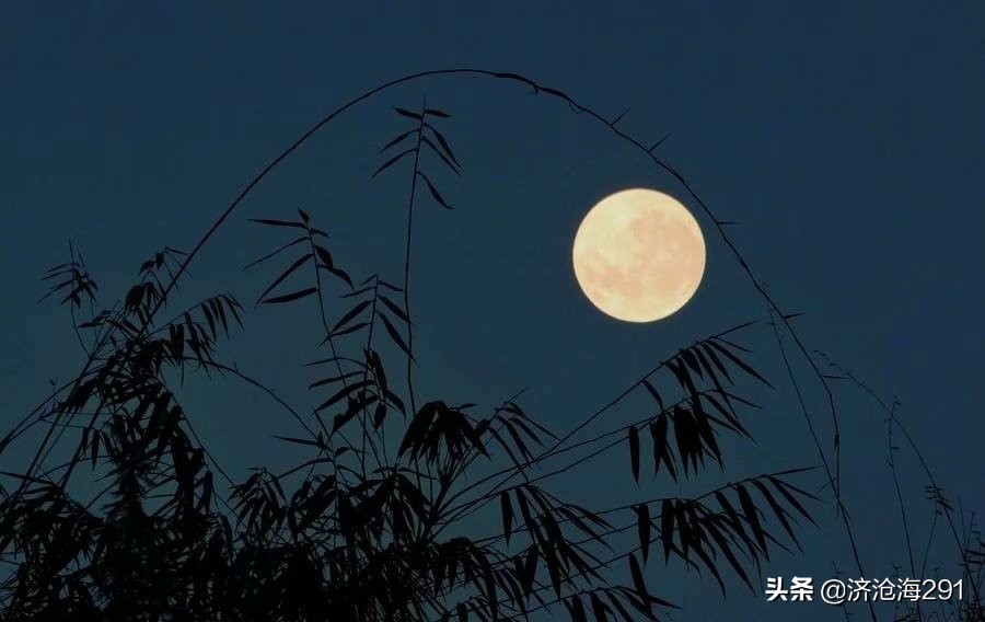 纳兰性德词中主要的十首诗,纳兰性德最孤寂的诗