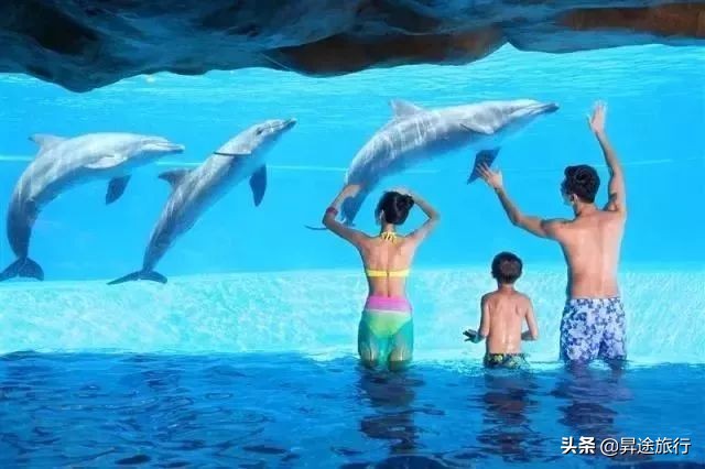 珠海长隆水上乐园刺激儿童也能玩,珠海长隆水上乐园空中旋转