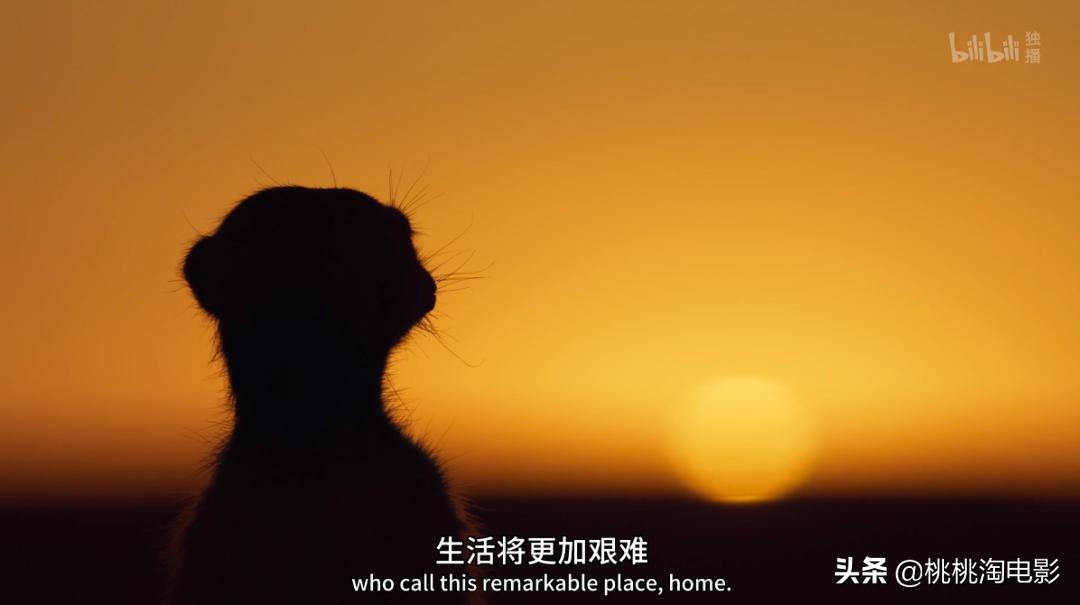 bbc纪录片最值得看的,bbc神级纪录片豆瓣评分超9