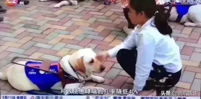 “你怎么还不扔了这只脏猫？”