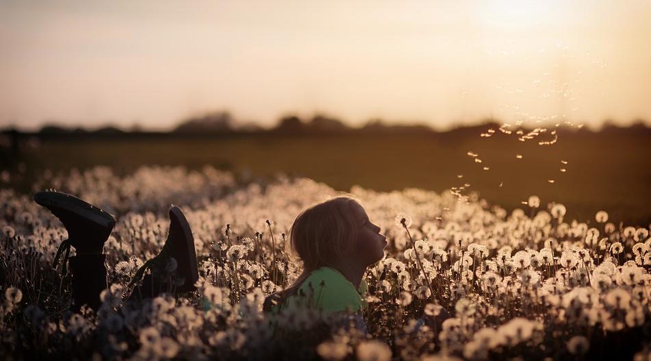 *弹炸**来了，我们要大笑