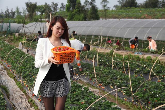 2023年适合宝妈创业的项目,宝妈在家创业最好的4个小本项目