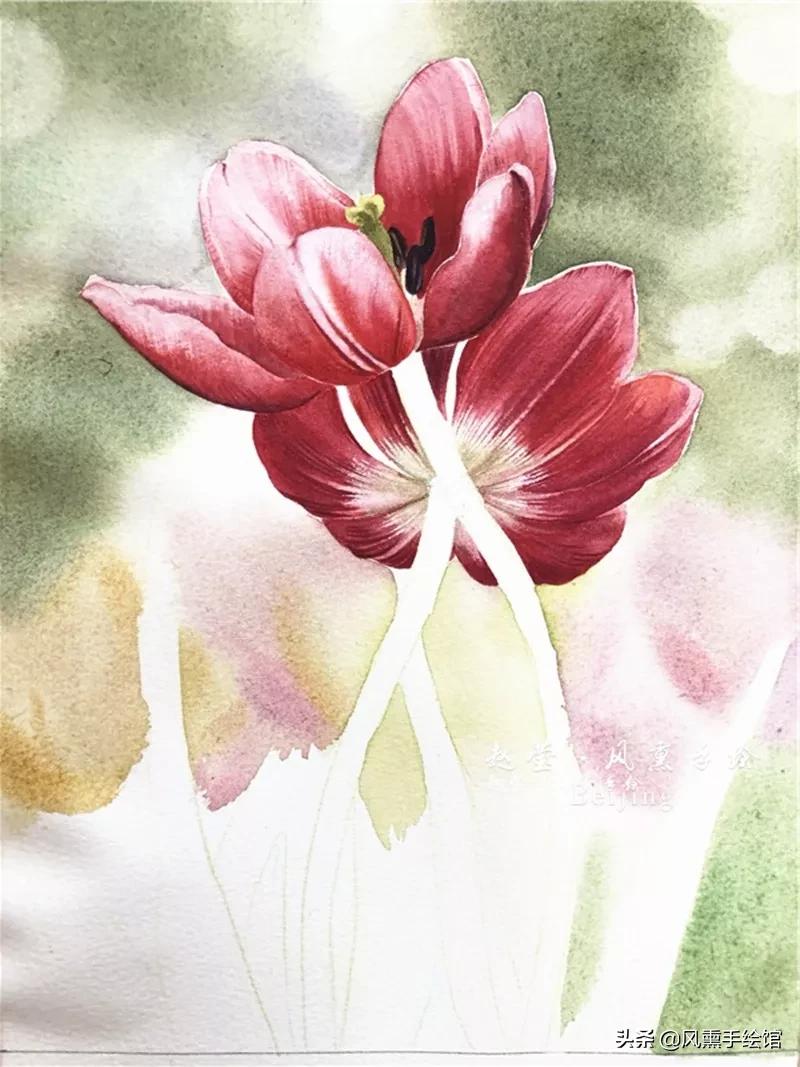怎么用水彩笔画郁金香教程,粉色水彩郁金香怎么画图片